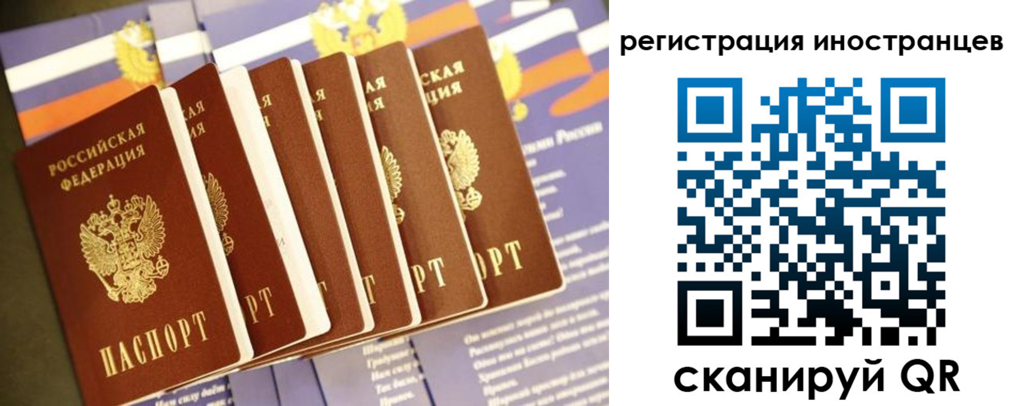 прописка в Брянске